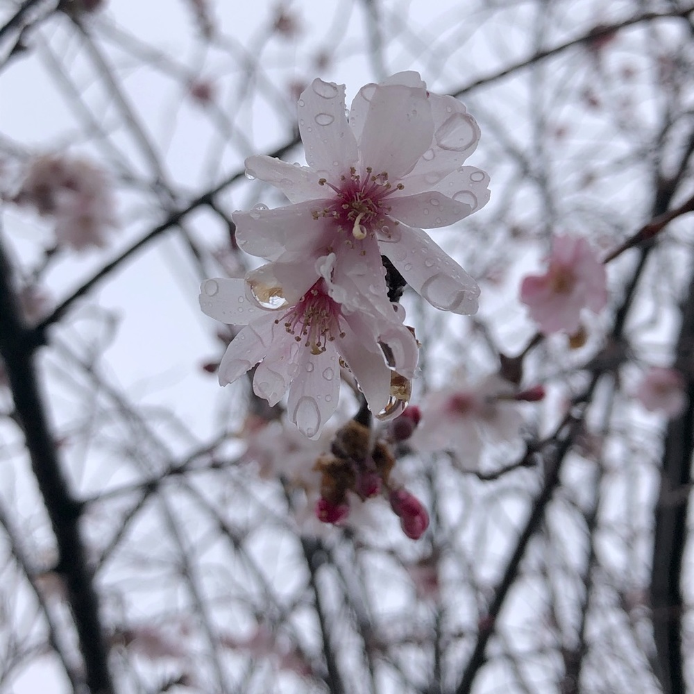 Meet your Posher, Julia